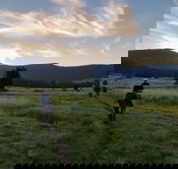 Numinbah Valley Adventure  Camping - Accommodation Sunshine Coast