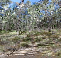 Reef Hills State Park - Accommodation Sunshine Coast