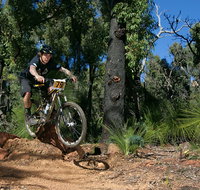 Scorpion Trail Kalamunda Mountain Bike Trails - Accommodation Sunshine Coast