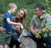 Tamworth Marsupial Park and Adventure Playground - Accommodation Sunshine Coast