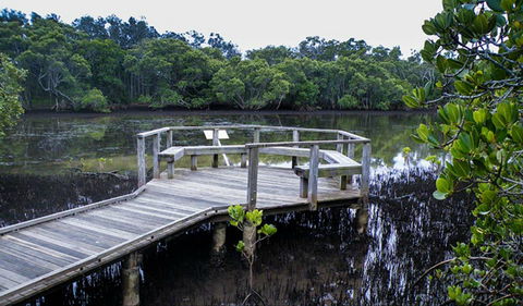 Walk On Water Walking Track - Accommodation Sunshine Coast 0