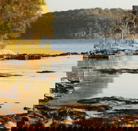 Wangi Wangi - Accommodation Sunshine Coast