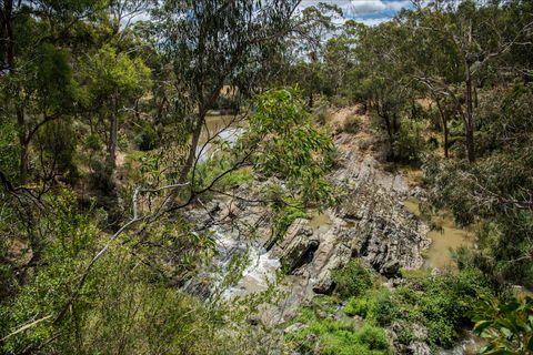 Yarrambat Park - Accommodation Sunshine Coast 0