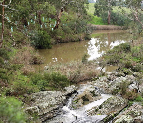 Yarrambat Park - Accommodation Sunshine Coast 1