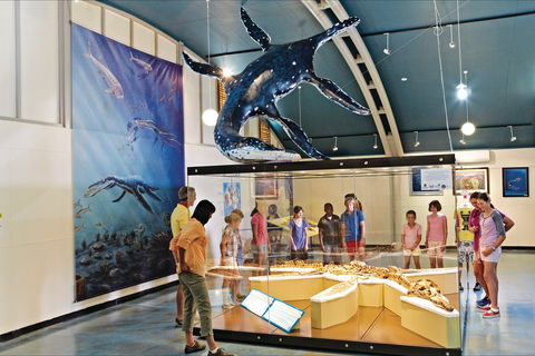 Australian Dinosaur Trail - Accommodation Sunshine Coast 1