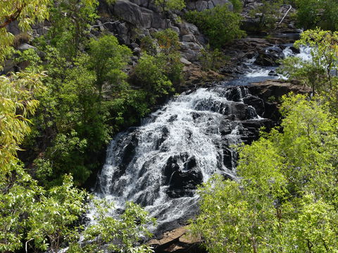 Biddlecombe Cascades - Accommodation Sunshine Coast 1