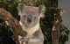 Birdland Animal Park - thumb 0