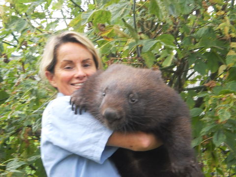 Birdland Animal Park - Accommodation Sunshine Coast 2