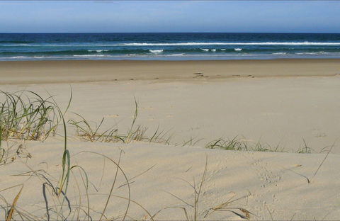 Bongil Beach - Accommodation Sunshine Coast 0