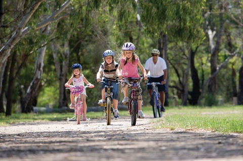 Braeside Park - Accommodation Sunshine Coast 1