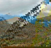 Burrowa-Pine Mountain National Park - Accommodation Sunshine Coast