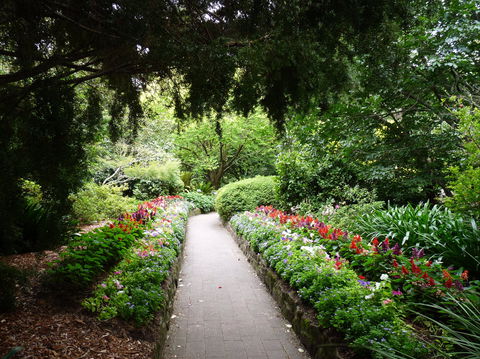 EG Waterhouse National Camellia Gardens - Accommodation Sunshine Coast 1