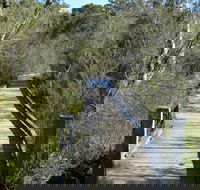 Falcon Crescent Link Track - Accommodation Sunshine Coast