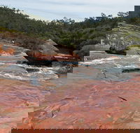 FR Berry Reserve - Accommodation Sunshine Coast