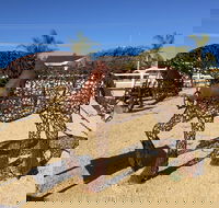 Gundersen Reserve - Accommodation Sunshine Coast