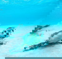 Jurien Bay - Accommodation Sunshine Coast