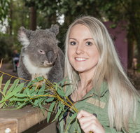 Koala Park Sanctuary - Accommodation Sunshine Coast