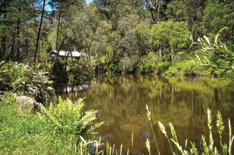 Kurth Kiln Regional Park - Accommodation Sunshine Coast 0