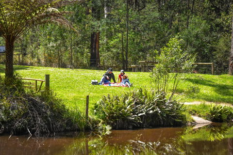 Kurth Kiln Regional Park - Accommodation Sunshine Coast 1