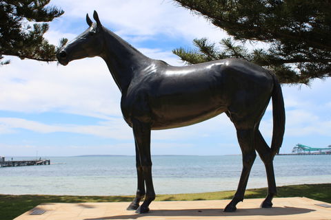 Makybe Diva Statue - Accommodation Sunshine Coast 1