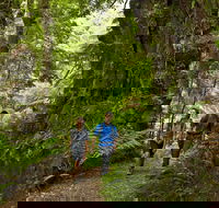 Melba Gully