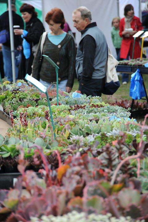 Portsea Market - Accommodation Sunshine Coast 0