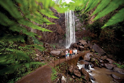 Queen Mary Falls Circuit, Main Range National Park - Accommodation Sunshine Coast 0