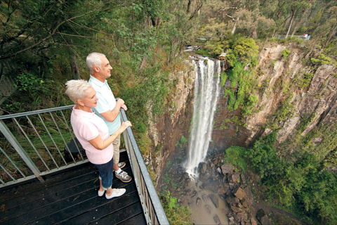 Queen Mary Falls Circuit, Main Range National Park - Accommodation Sunshine Coast 1