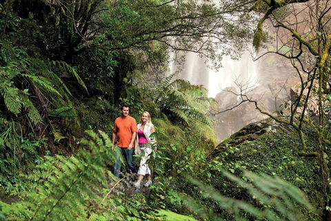 Queen Mary Falls Circuit, Main Range National Park - Accommodation Sunshine Coast 2