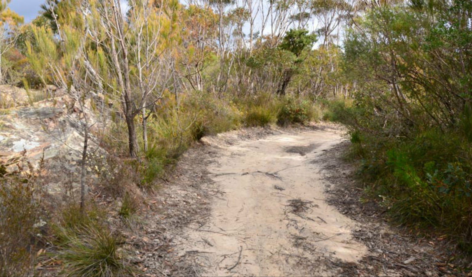 Browns Mountain NSW Accommodation Sunshine Coast