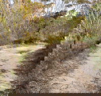 Red Rocks trig walking track - Accommodation Sunshine Coast