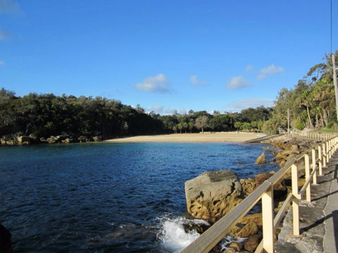 Shelly Beach: Manly - Accommodation Sunshine Coast 0