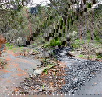 Stepping Stone Crossing to Cascades Trail - Accommodation Sunshine Coast