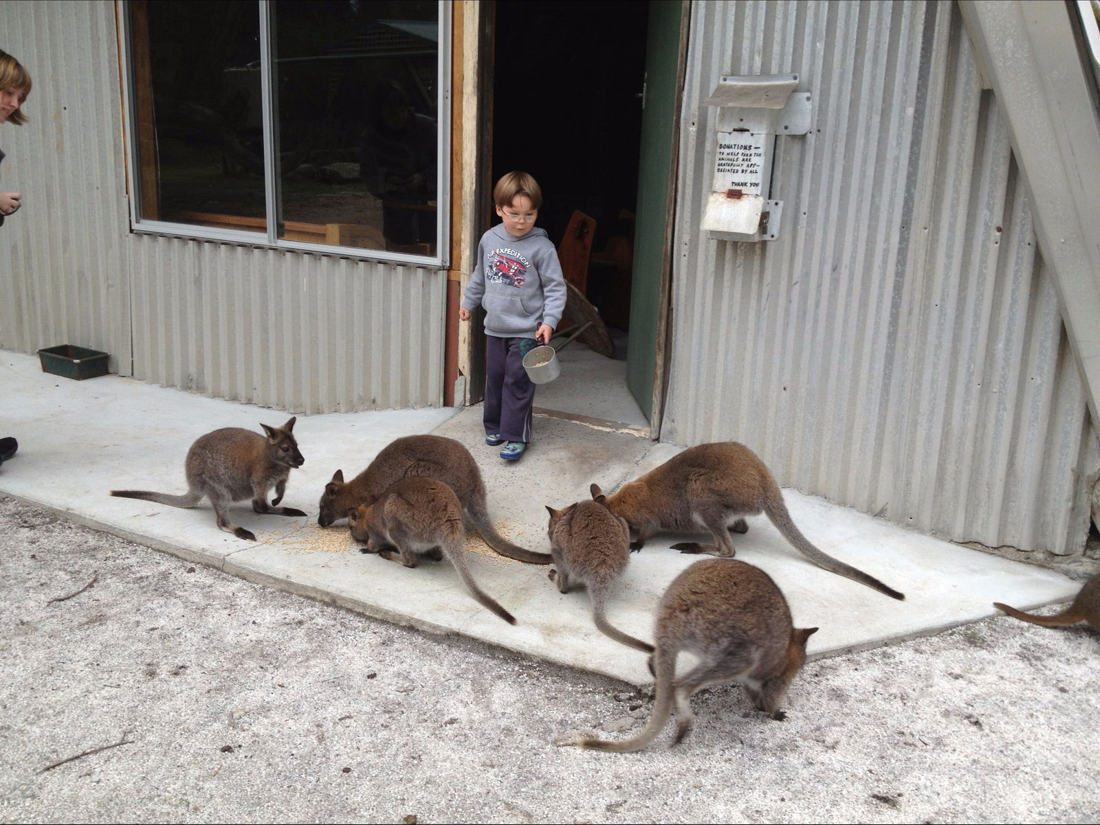 Bass Strait Islands TAS Accommodation Sunshine Coast
