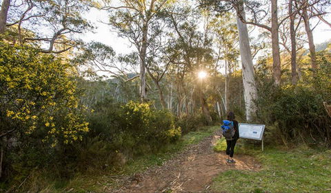 Yarrangobilly Caves – River Walk - Accommodation Sunshine Coast 0