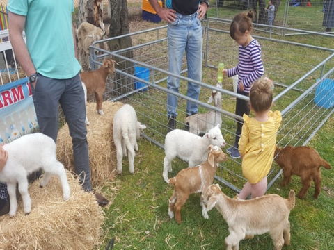 Animal Farm Visit - Accommodation Sunshine Coast 2