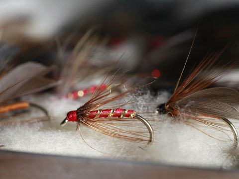 Australian Fly Fishing Museum - Accommodation Sunshine Coast 0