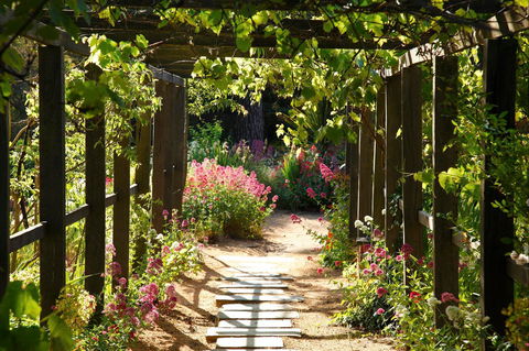 Buda Historic Home & Garden - Accommodation Sunshine Coast 2