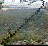 Burrabadine Walking Track - Accommodation Sunshine Coast