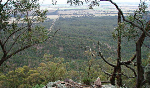 Burrabadine Walking Track - Accommodation Sunshine Coast 0