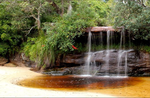 Collins Flat Beach - Accommodation Sunshine Coast 0