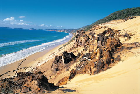 Cooloola, Great Sandy National Park - Accommodation Sunshine Coast 0