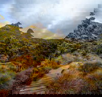Dove Lake - Accommodation Sunshine Coast