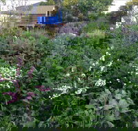 Down to Earth Permaculture - Accommodation Sunshine Coast