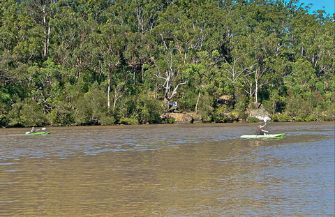 Fitzpatrick Park - Accommodation Sunshine Coast 0
