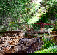 George Brown Darwin Botanic Gardens - Accommodation Sunshine Coast