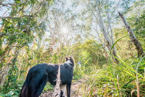 Lamb Island (Nguderoo) - Accommodation Sunshine Coast 1
