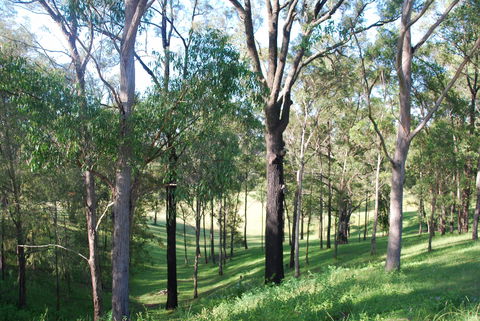 Mount Schoenstatt Spirituality Centre - Accommodation Sunshine Coast 1