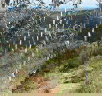 Mount Towac Walk - Accommodation Sunshine Coast