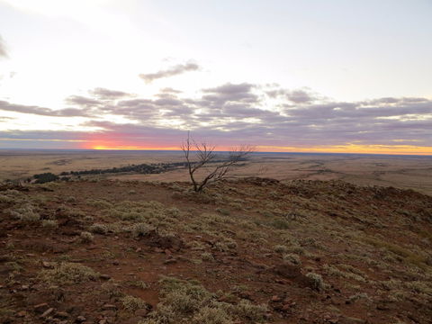 Mundi Mundi Plains - Accommodation Sunshine Coast 0